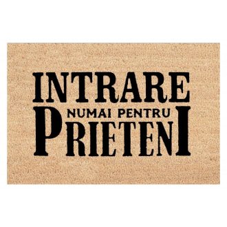 covor intrare friends